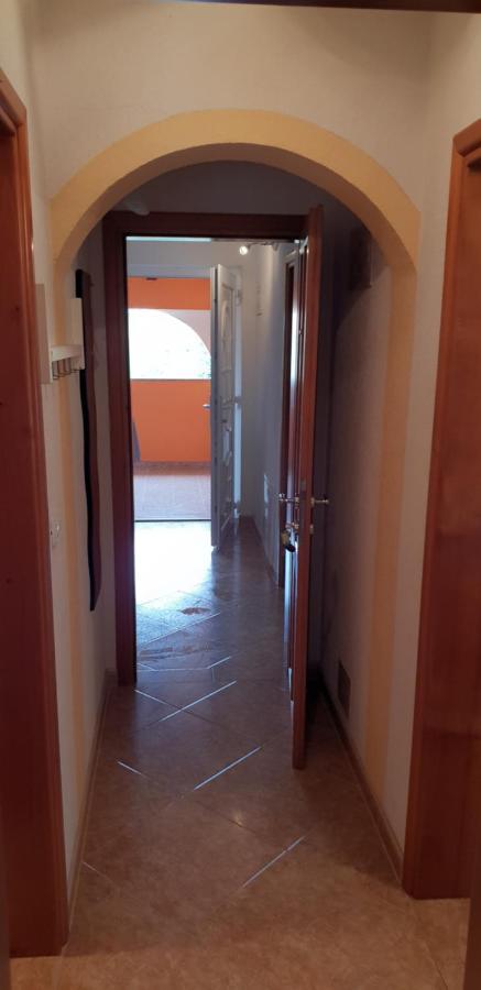 Apartmani Citrus Novigrad Filipac Exteriör bild