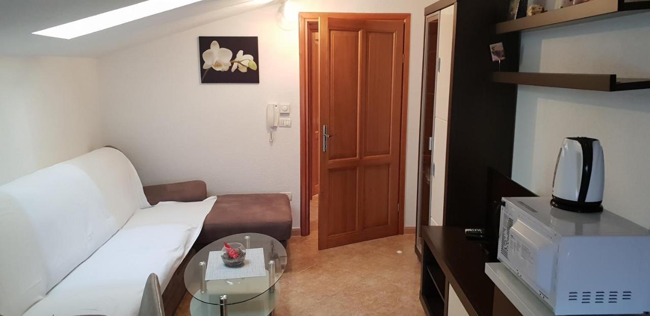 Apartmani Citrus Novigrad Filipac Exteriör bild