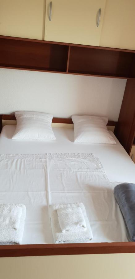 Apartmani Citrus Novigrad Filipac Exteriör bild