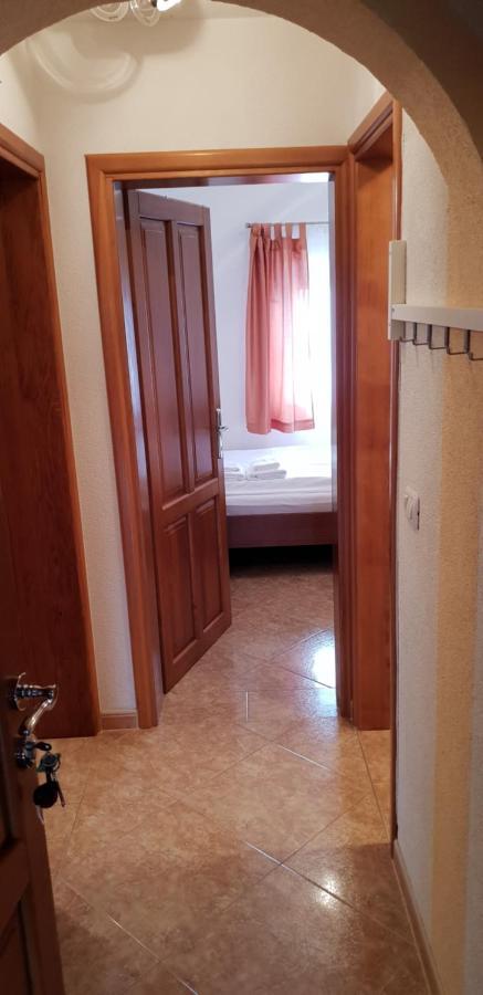 Apartmani Citrus Novigrad Filipac Exteriör bild