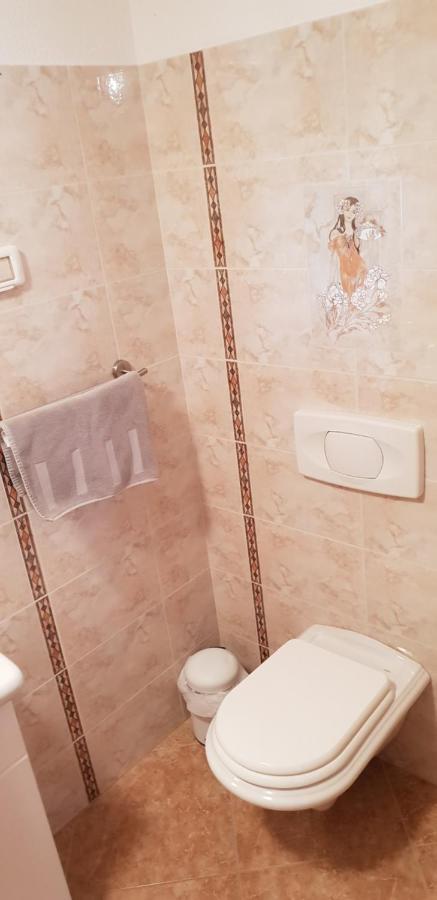 Apartmani Citrus Novigrad Filipac Exteriör bild