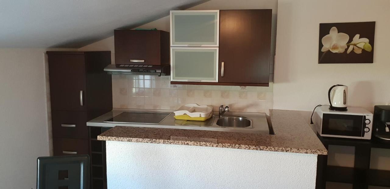 Apartmani Citrus Novigrad Filipac Exteriör bild