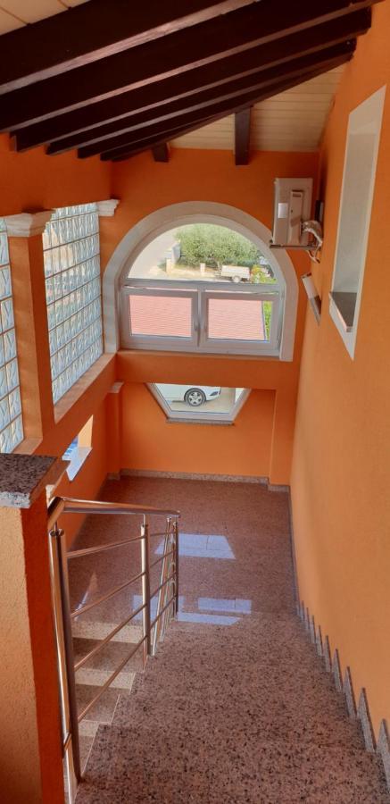 Apartmani Citrus Novigrad Filipac Exteriör bild
