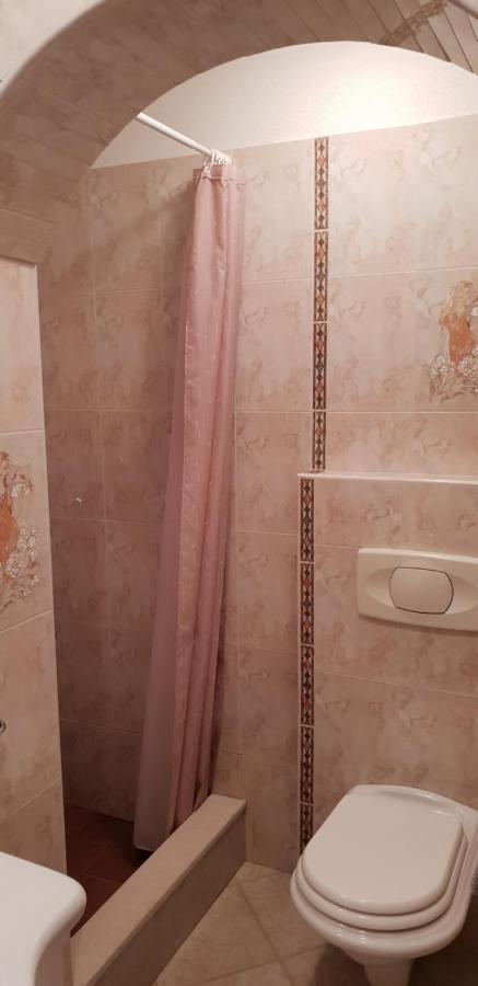 Apartmani Citrus Novigrad Filipac Exteriör bild