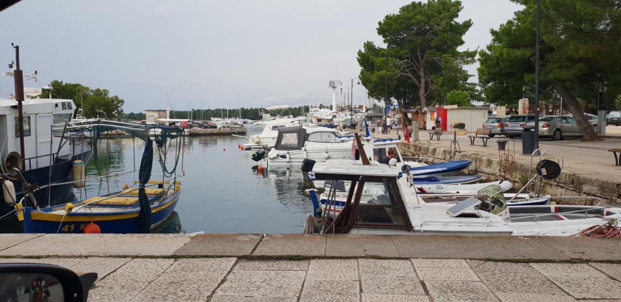 Apartmani Citrus Novigrad Filipac Exteriör bild